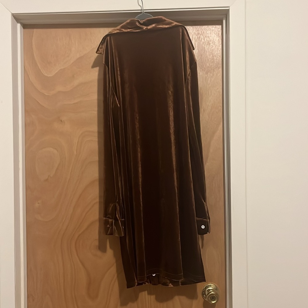 Velvet Ruched Dress - Picture 3 of 4